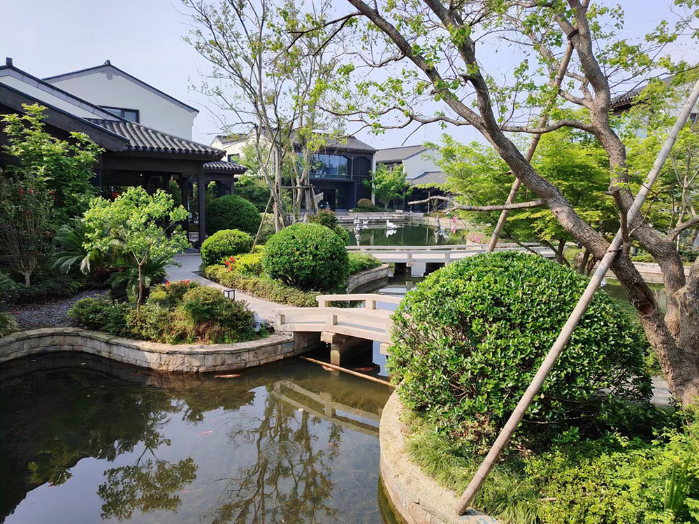 阳羡湖风景.jpg